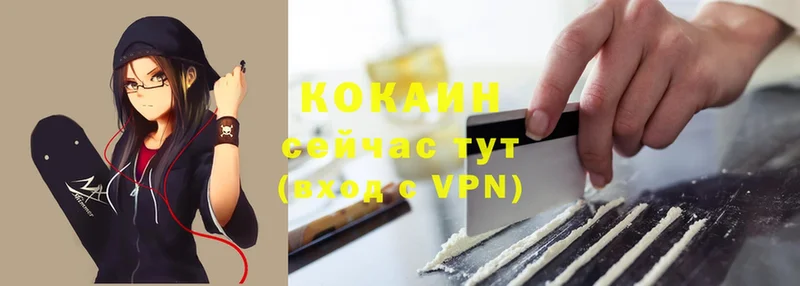 Cocaine Fish Scale  цены   kraken сайт  Волжск 